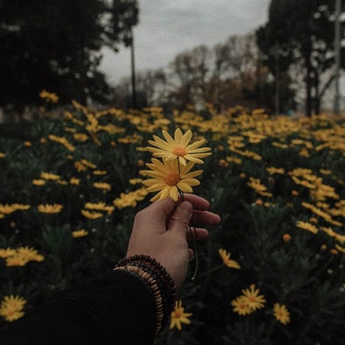 forever- lewis capaldi (slowed)