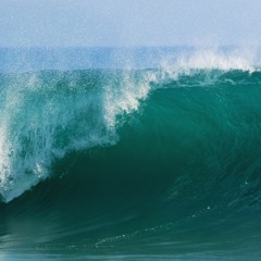 Consumed by the Tide