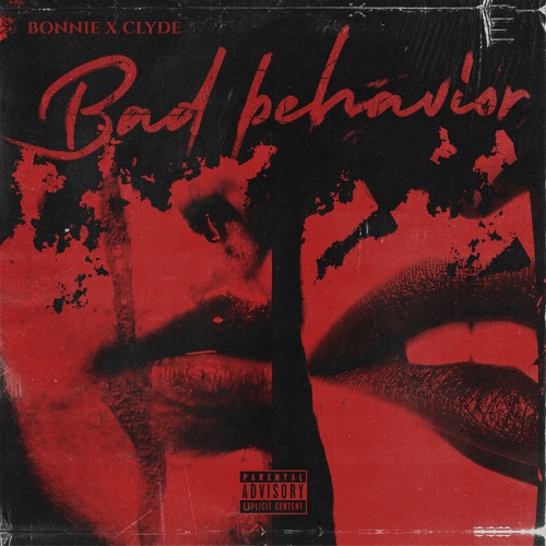 Bad Behavior