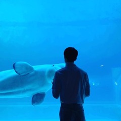 You Are The Reason (Cover By Alexandra Porat)