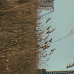 나의 그림자에게