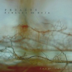 Pedazos Finales De Hoja