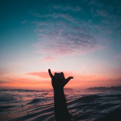 Lana Del Rey - Fuck It I Love You ( LiDra cover )