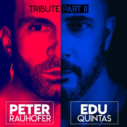 PETER RAUHOFER TRIBUTE II Mixed By DJ Edu Quintas