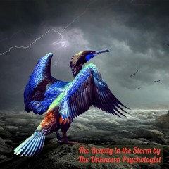 The Beauty in the Storm by The Unknown Psychologist