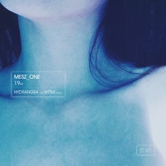 Mesz_one - 19HZ (Incl. Hydrangea and WTTM Remixes) [NWR016]