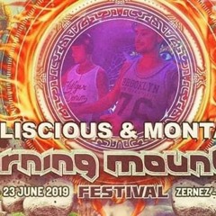 D-Liscious&Montana @ Burning Mountain Festival 2019