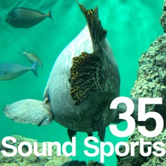 Sound Sports 35 Ryota Ishii