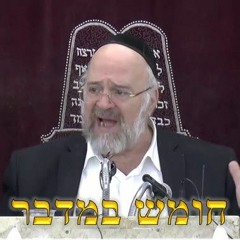 🔥הרב ברוך רוזנבלום🔥 - חומש במדבר - פרשת בלק 7 תשע״ד