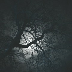 Cunami D.MC & Felix - 777Москва(401 Rec. 2019 Prod. By Eazy Breezy)