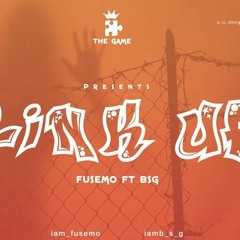 Linkup Fusemo Ft BSG