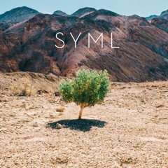SYML - My Body (Remix) - INSTRUMENTAL
