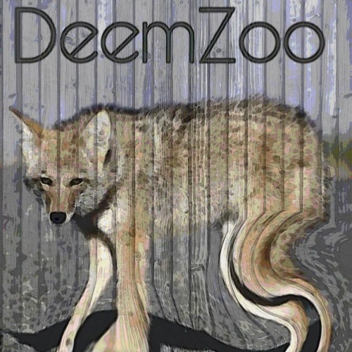 Wile-E Peyote