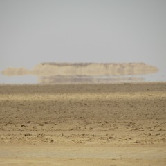 Illusion (ft. Nelson)