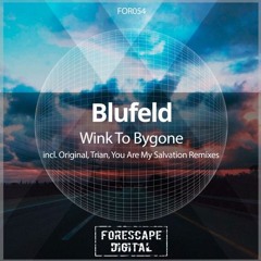 Wink To Bygone (Original Mix)