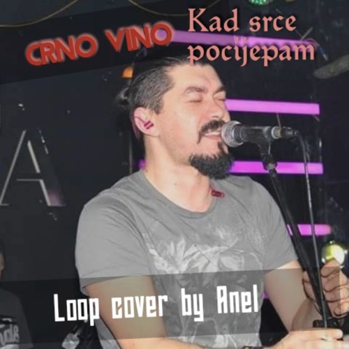 Crno vino - Kad srce pocijepam (Boss VE-20 live loop cover by Anel)