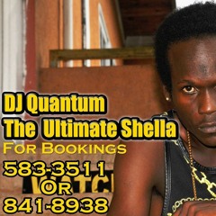 DJ QUANTUM AREA CODE MIXTAPE R&B HIP HOP!