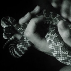 The Lie (Instrumental)