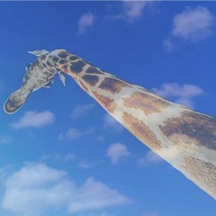 On A Giraffe's Neck To The Clouds