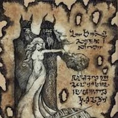 COLT BROTHERS - Montana Flow