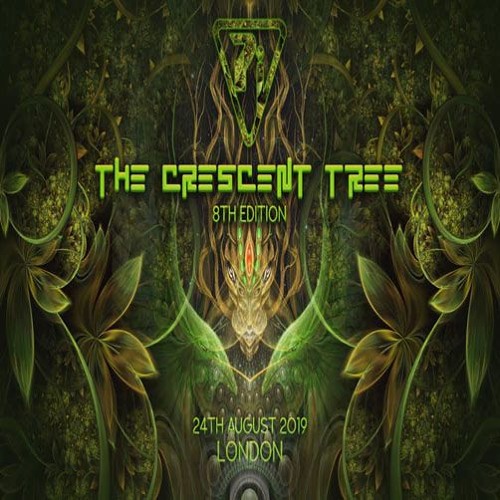 Full Lotus At The Crescent Tree 25th August 2019