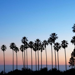 Isaiah Rashad x KotaTheFriend Type Beat - PalmCity