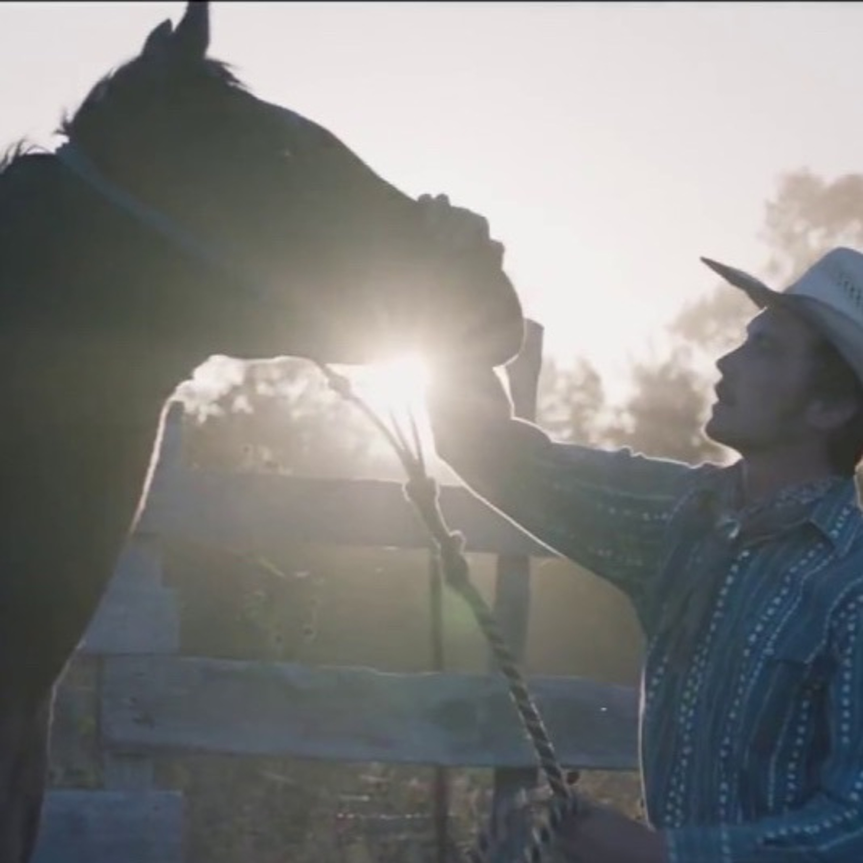 #383 The Rider (2017), de Chloe Zhao