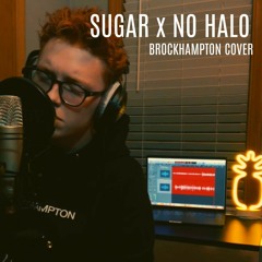 SUGAR x NO HALO - brockhampton (ginger cover)