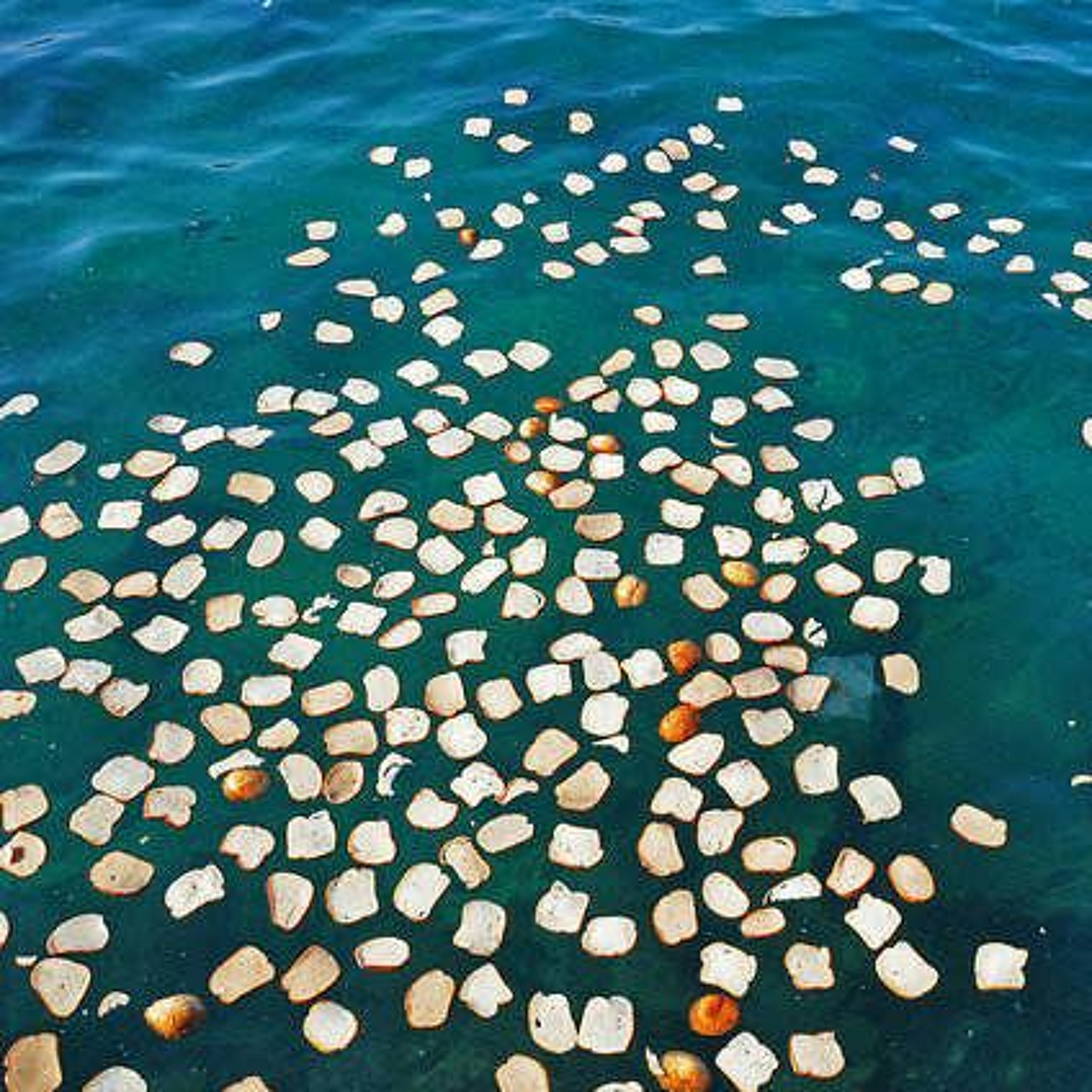 Ecclesiastes 11.1 - 6- - Cast Your Bread Upon The Water - -Hurricane Creek episode artwork