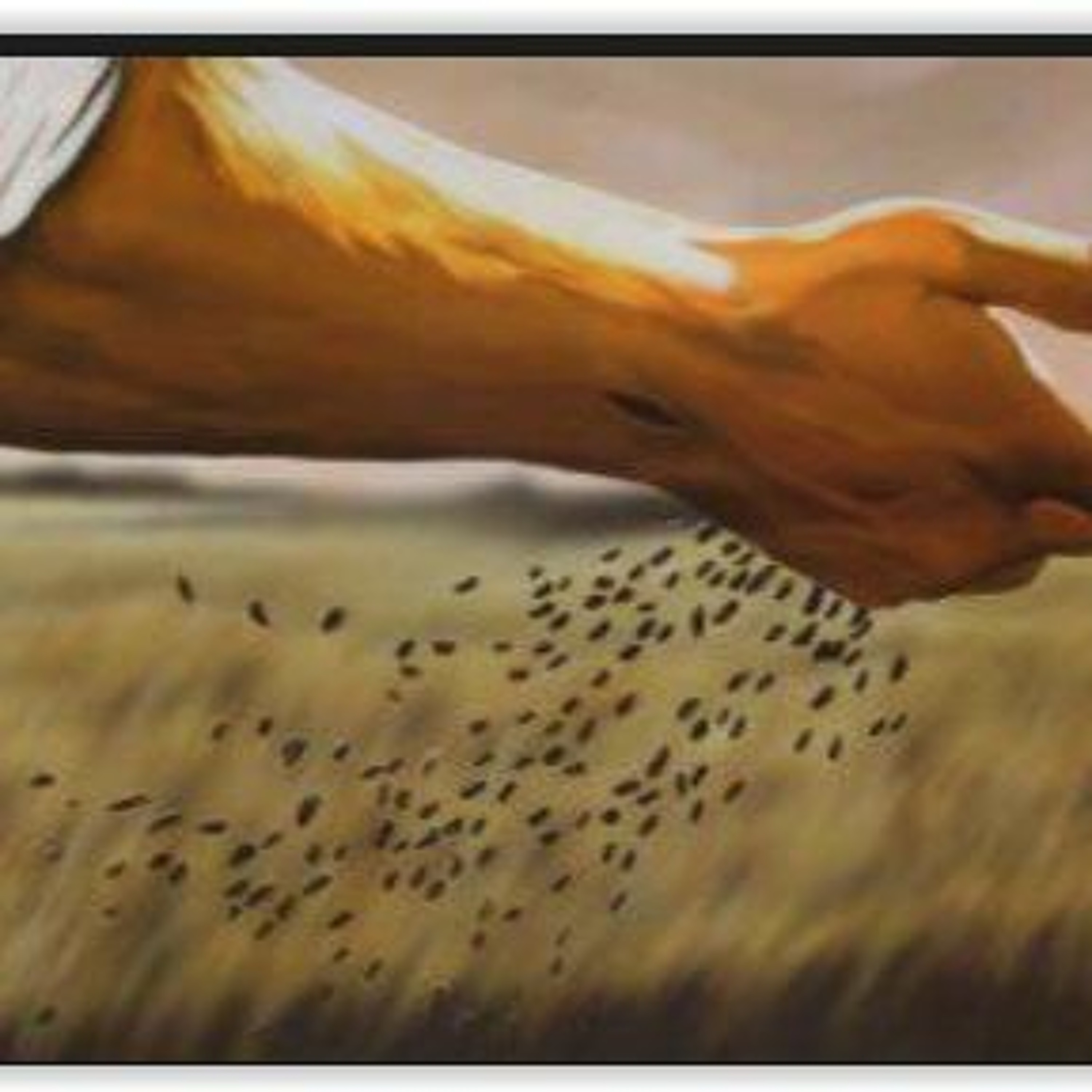 Ecclesiastes 11.1 - 6- - Cast Your Bread Upon The Water episode artwork