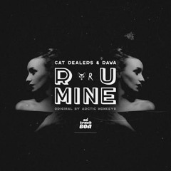 Cat Dealers  RAWA - R U Mine