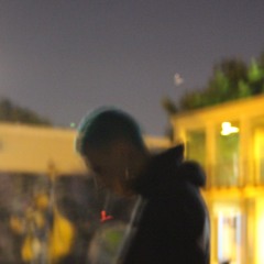 I DONT TRUST THESE TREES