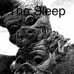 The Sleep