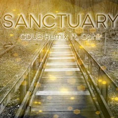 Sanctuary Remix ft. Ophir