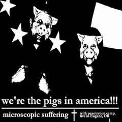 We're the pigs in america