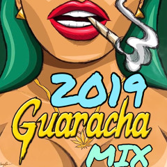 DJ Sage - Guaracha 2019 Mix