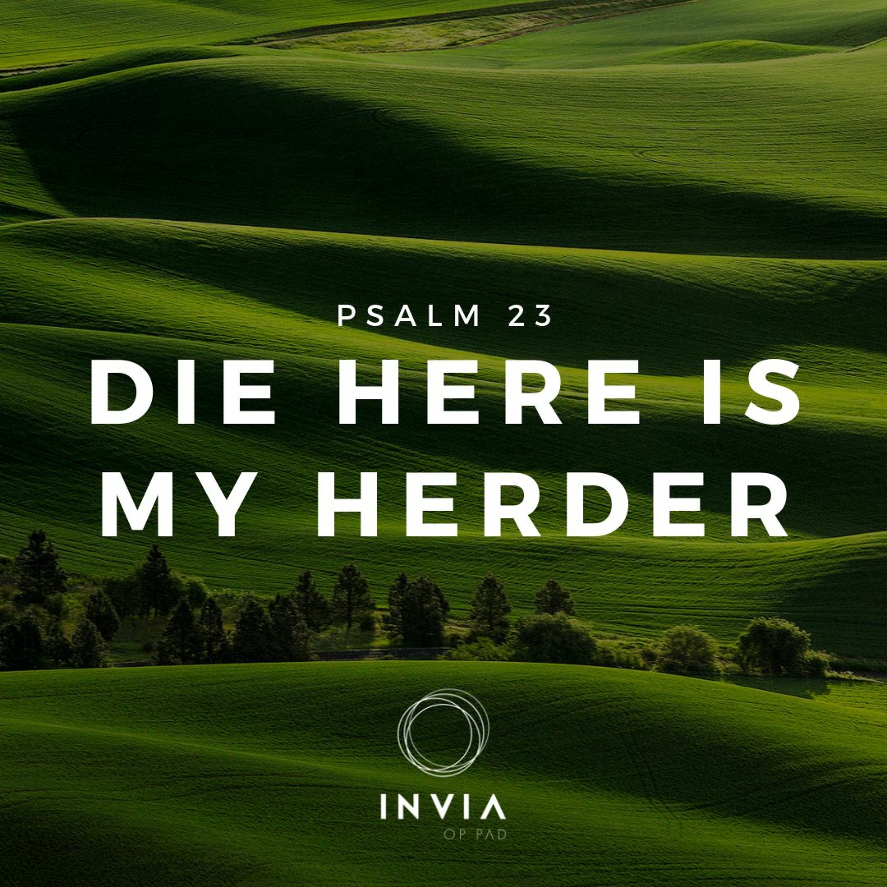 Psalm 23: Die Here Is My Herder deur Lina Du Plessis (Aanddiens)