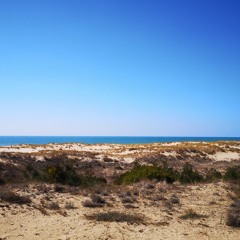 C'est pour un pote dans le train 2