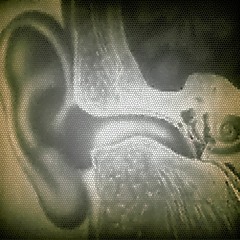 Sensation of Hearing (Version 2)