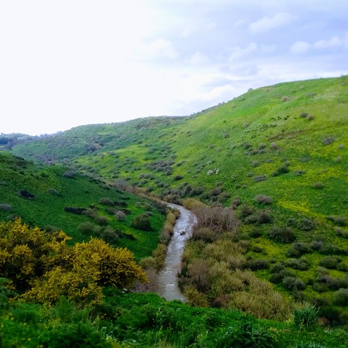 In every breath יאיר ונאיה ברט Yair and Naya Bart בכל נשימה