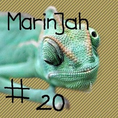 chameleon #20 MarinJah - Redemption