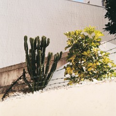 hum of ceiling grass