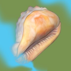 Maailmanloputtomuuden uusintoja – Mihin nyt?: Pauliina Feodoroff, vieraana Satu Herrala