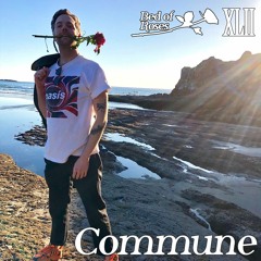 Bed of Roses Mix XLII - Commune