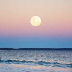 therapy freestyle - mark phase, xdiomari, hampus nennesson, linusp