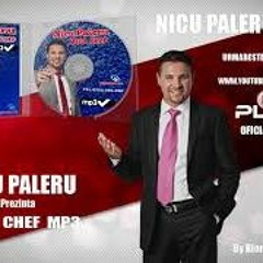 CRISTIAN RIZESCU  SI NICU PALERU - ZECE CARCIUMI SUNT IN SAT (192  Kbps)