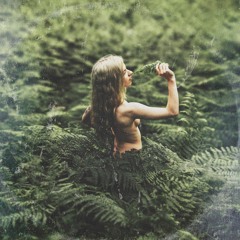 Psalm//Trees - neighbourhood [premiere]