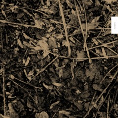 Stream About Blank Berlin Music Listen To Songs Albums Playlists For Free On Soundcloud