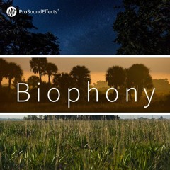 Biophony - Demo