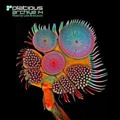 POB Featuring DJ Patrick Reid - Fly (Rolo Green Remix) - Platipus Preview